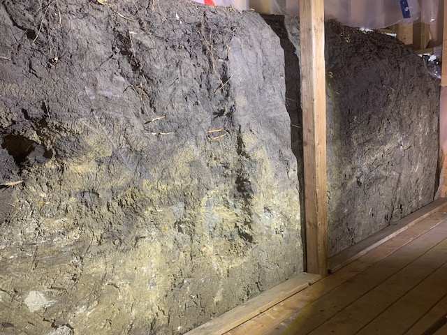 wall of soil with viewing area